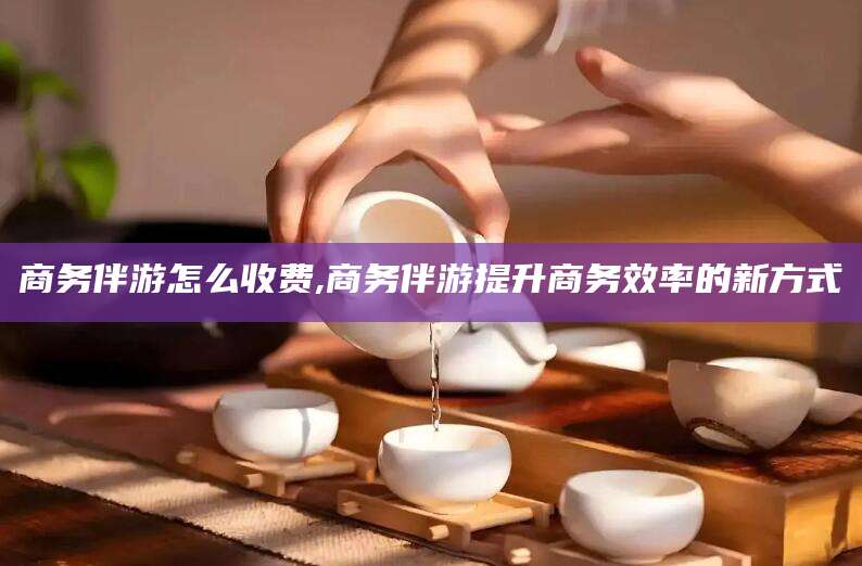 牡丹江商务伴游怎么收费,商务伴游提升商务效率的新方式